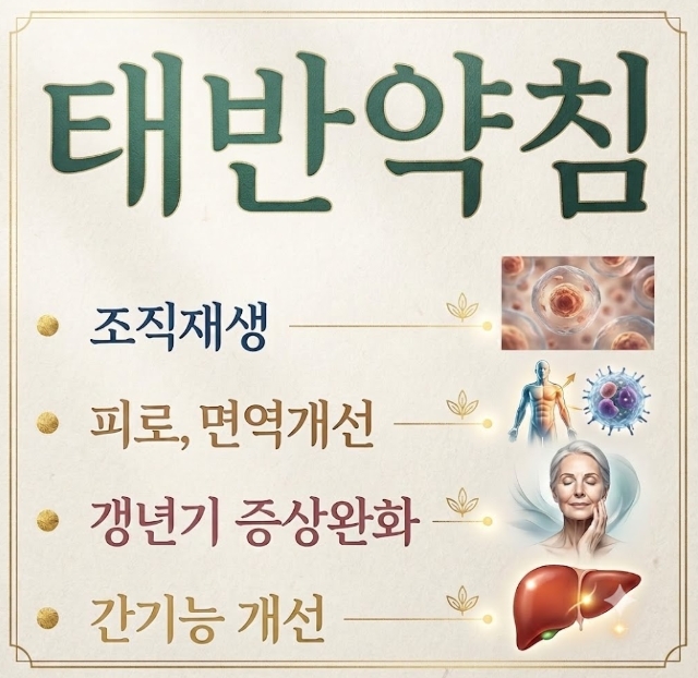 자하거약침 시술 장면 - 태반 추출물을 정제한 약침으로 조직 재생 촉진