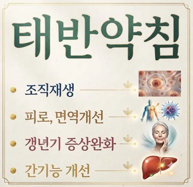자하거약침 시술 장면 - 태반 추출물을 정제한 약침으로 조직 재생 촉진