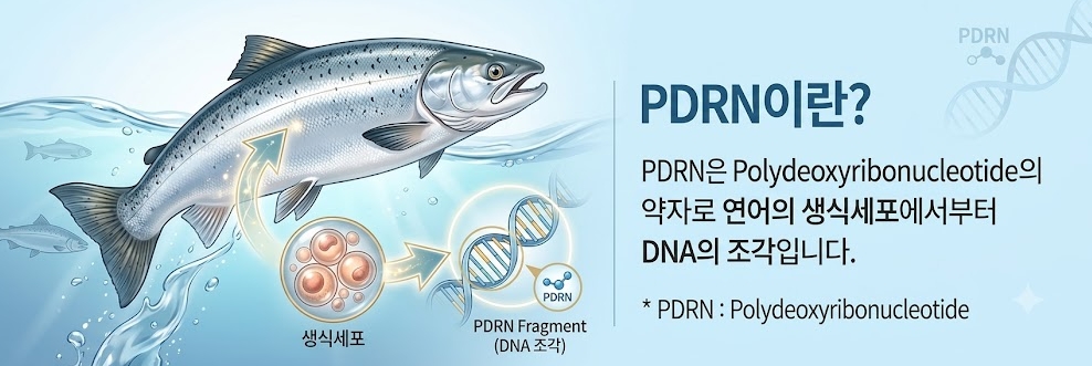 연어정소약침 시술 장면 - 연어 DNA를 정제한 약침으로 조직 재생 촉진