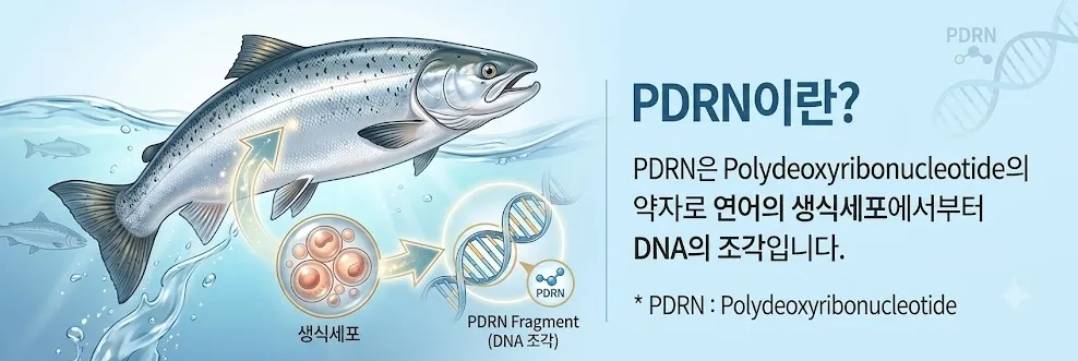 연어정소약침 시술 장면 - 연어 DNA를 정제한 약침으로 조직 재생 촉진